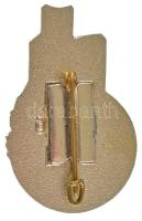 1974. "25 éves a KGST" zománcozott fém jelvény T:AU