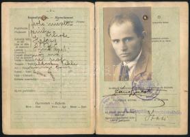 1927-1928 Dáné Gyula (1887-?) festőművész fényképes útlevele