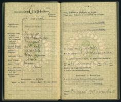 1937-1939 Magyar királyság fényképes útlevele Rosenberg Gábor izraelita származású mérnök részére