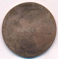 ifj. Szlávics László (1959-) DN "Széchenyi István / Születése 200. évfordulójára" Cu emlék...