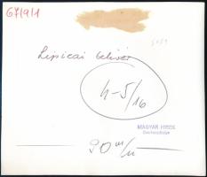 1967 Lipicai telivér, sajtófotó, 16,5×18,5 cm