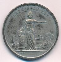 Wenzel Seidan (1817-1870) 1860. "Széchenyi István szül. 1792. szept. 17én - megh. 1860. ápril. ...