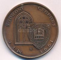 Renner Kálmán (1927-1994) 1991. "Gróf Széchenyi István / MÉE Soproni Csoport 1991" bronz e...