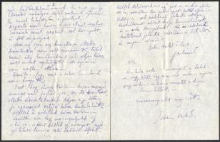 cca 1930 Komjáti-Wanyerka Gyula (1894-1958): Autográf levelek a festőművész, grafikustól, 9 beírt ol...