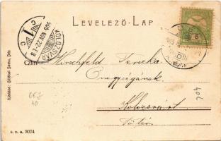 1905 Dés, Dej; Rákóczi ház, Törvényszék, Szolnok-Doboka vármegye Nemzeti színháza. Gálócsi Samu kiad...