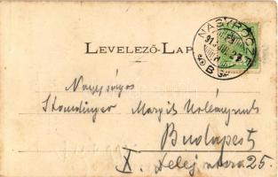 1913 Petrozsény, Petrosani; Petrozsény vidéki havasi románok. Joanovits és Sternád kiadása / Romania...