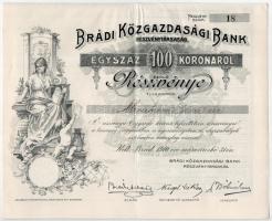 Brád 1910. "Brádi Közgazdasági Bank Részvénytársaság" névre szóló részvénye 100K-ról, szelvényekkel, szárazpecséttel T:XF /  Brad 1910. "Brádi Közgazdasági Bank Részvénytársaság" share with shareholder's name about 100 Korona with coupons and embossed stamp C:XF