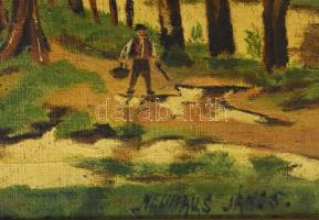 Neuhaus János: Tóparti táj, halásszal. Olaj, vászon, restaurált. Keretben 17x47 cm