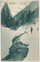 1926 Zernest, Zernyest, Zarnesti; Valea raului / völgy télen. Fotograf V. Gregorsch / valley in winter (EK)