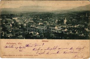 1901 Szelistye, Salistea Sibiului, Saliste; látkép / general view (EK)