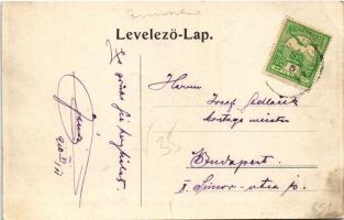 1910 Nadrág, Vasgyár, Igazgatósági épület. Rusz Árpád kiadása / Eisenwerk, Direktionsgebäude / iron ...