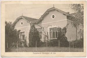 1928 Algyógy, Geoagiu, Gergesdorf; Sanatorul Geoagiul de jos / szanatórium / sanatorium (EK)