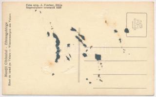 Szebeni-havasok, Muntii Cibinului (Cindrel), Zibinsgebirge; Efect de iarna pe Valare / Wintermorgen ...