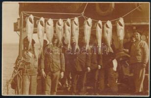 cca 1910 Az S.M.S.Dukla legénysége halfogással a fedélzeten (11 x 7 cm) / A group of sailors, identified as crewmembers of S.M.S. Dukla by the lifesaver hanging above them, pose behind a line of fish strung by the gills between two poles. 11x7 cm