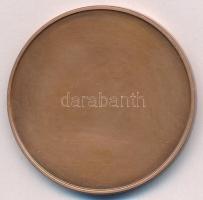 1995. "Free Flight World Championships - Hungary Dömsöd Ráckeve 22-28 July 1995" egyoldala...