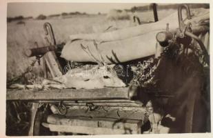 Vegyes fotó és fotónegatív tétel, benne vadászati képek is