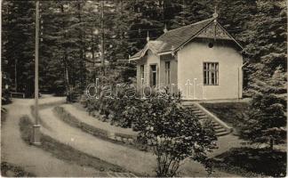 1916 Marilla, Marillavölgy, Marila; Szanatórium, Pneumatikus kamra. Káden József kiadása / spa, sanatorium, pneumatic chamber (EK)