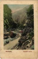 Petrozsény, Petrosani; Szurduki szoros, híd. Muntyán Tivadar kiadása / Pasul Surduc / mountain pass, bridge (Rb)