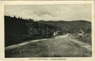 1921 Kovászna, Covasna; Horgász gyógyforrás / Izvorul de cura Horgas / mineral water spring (EK)