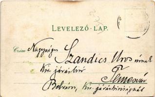 Lippa, Lipova; Gregor Fischer (felületi sérülés / surface damage)