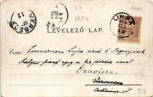 1900 Lippa, Lipova; Fő utca. Gregor Fischer kiadása / main street (EK)