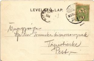 1905 Gyulafehérvár, Alba Iulia; látkép. Petri F. Vilmos kiadása / general view (kopott sarkak / worn...