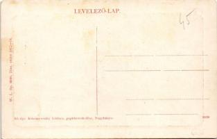 Nagybánya, Baia Mare; látkép a Református templommal. W. L. Bp. 6040. Kiadja Krizsanovszky Lőrinc / ...