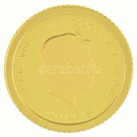 Cook-szigetek 2010. 1D Au "II. János Pál", "A világ legkisebb arany érméi" tanús...