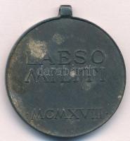 1918. "Sebesültek Érme" Zn kitüntetés mellszalag és függesztőkarika nélkül. Szign.: R. Pla...