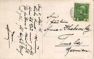 1915 Osztrák-magyar haditengerészet matróza Nikivel, a fedélzeti malaccal óljában / K.u.K. Kriegsmar...