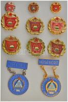 ~1970-1980. "Szocialista Brigád" (6x) aranyozott, műgyantás jelvények 3db miniatűrrel + 1964. "Magyar Kábel Művek Törzsgárda" 10 és 20 év után, zománcozott, aranyozott és ezüstözött bronz jelvények (2x) T:XF
