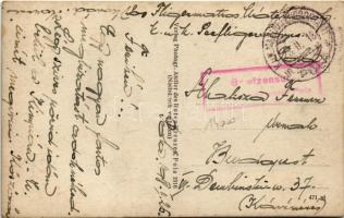 1918 K.u.K. Kriegsmarine Matrosen, Seeflugzeug, Torpedoboot / WWI Austro-Hungarian Navy, Mn-type fly...