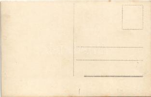 K.u.K. Kriegsmarine Seeflugzeug / WWI Austro-Hungarian Navy, Portside view of Lohner L-type flying b...