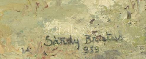 Sárdy Brutus (1892-1970): Nagytétényi Dunapart, 1959. Olaj, vászon, jelezve jobbra lent, kartonra ka...