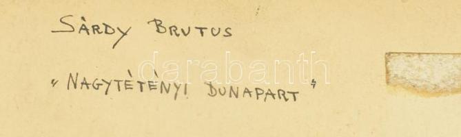 Sárdy Brutus (1892-1970): Nagytétényi Dunapart, 1959. Olaj, vászon, jelezve jobbra lent, kartonra ka...