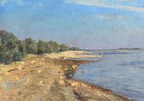 Sárdy Brutus (1892-1970): Napsütéses Dunapart, 1959. Olaj, vászon, jelezve balra lent, vakráma nélkü...