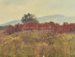 Sárdy Brutus (1892-1970): Őszi táj, 1965. Olaj, vászon, jelezve jobbra lent, hátoldalán régi MNG kiv...