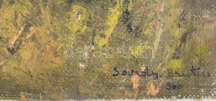 Sárdy Brutus (1892-1970): Őszi táj, 1965. Olaj, vászon, jelezve jobbra lent, hátoldalán régi MNG kiv...