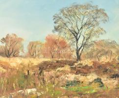 Sárdy Brutus (1892-1970): Napsütötte táj. Olaj, vászon, jelzés nélkül, vakráma nélkül, 42,5x57,5 cm