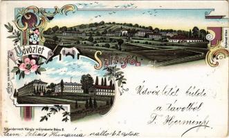 1900 Szliács, Slic; látkép, villák. Kiadja Schwidernoch Károly / general view, villas, spa. Art Nouveau, floral, litho (fl)