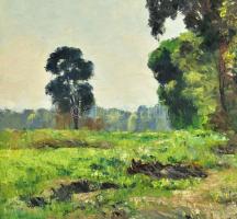 Sárdy Brutus (1892-1970): Napfényes erdőszéle. Olaj, vászon, jelzés nélkül, törésnyomokkal, vakráma ...