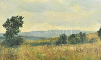 Sárdy Brutus (1892-1970): Hegyvidéki táj. Olaj, vászon, jelzés nélkül, hátoldalán régi MNG kiviteli ...