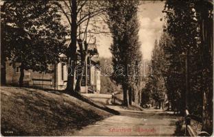 1915 Szliács, Sliac; Üdvözlégy szálloda. Kiadja Molnár M. / hotel, promenade (gyűrődések / creases)