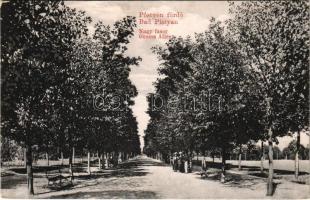 1907 Pöstyén-fürdő, Kúpele Piestany; Nagy fasor. A fürdőigazgatóság kiadása / promenade