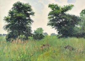 Sárdy Brutus (1892-1970): Erdőszéle. Olaj, vászon, jelzés nélkül, hátoldalán régi MNG kiviteli bélyegzővel, vakráma nélkül, 41,5x56,5 cm