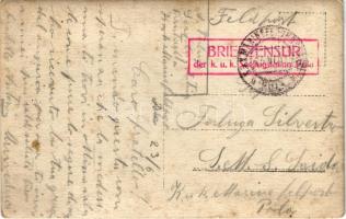 K.u.K. Kriegsmarine Seeflugzeug / WWI Austro-Hungarian Navy, A-40 Hansa Brandenburg C.C. fighter fly...