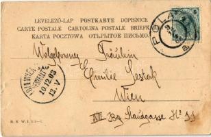 1903 K.u.K. Kriegsmarine Matrose / Austro-Hungarian Navy mariner on mainland. B.K.W.I. 829-7. (EB)