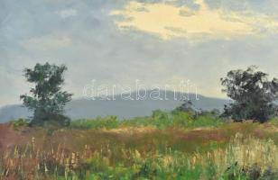 Sárdy Brutus (1892-1970): Hangulatos táj. Olaj, vászon, jelzés nélkül, hátoldalán régi MNG kiviteli ...