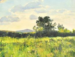 Sárdy Brutus (1892-1970): Felhős táj. Olaj, vászon, jelzés nélkül, vakráma nélkül, 42x56 cm