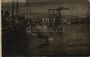 K.u.K. Kriegsmarine Matrosen / Osztrák-magyar matrózok úszóversenye a pola-i kikötőben / Austro-Hungarian Navy mariner's swimming race at the port of Pola. photo